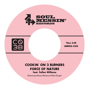 在线看日本免费A∨电影
